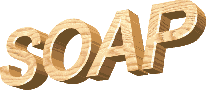 Soap.gif (3782 bytes)
